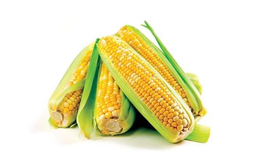 玉米是營養價值最高的主食