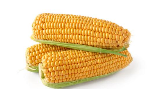 玉米這樣吃最有營養