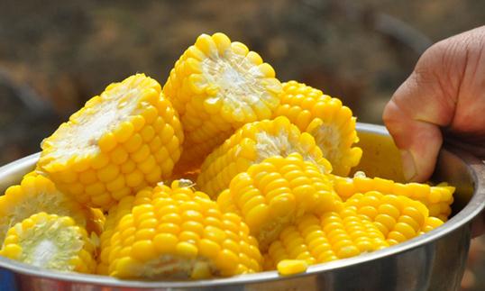 水果玉米的簡介 水果玉米的營養價值