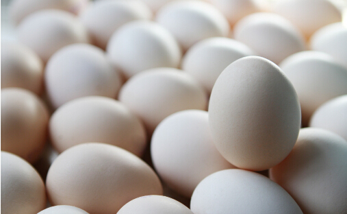 早上吃雞蛋營養豐富 避免四大誤區是關鍵