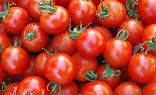 番茄可以美白祛斑 番茄的6大功效盤點