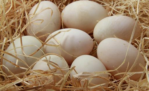每天一個蛋好處多 細數雞蛋的功效