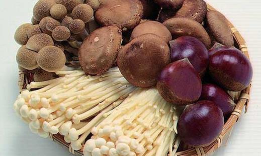 常吃蘑菇益氣健脾養胃 盤點蘑菇的功效