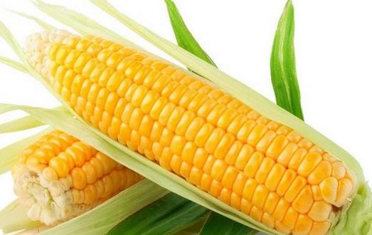 吃玉米可防高血糖 推薦2個玉米養生保健食譜