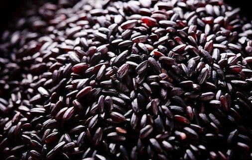 紫米有什麼營養？紫米怎麼吃營養？