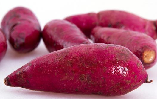 紫薯的營養功效介紹