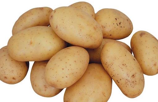 土豆有什麼營養？土豆怎麼吃最健康？