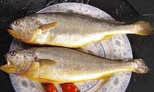 黃花魚有什麼營養價值？孕婦能吃黃花魚嗎？