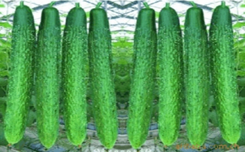 黃瓜