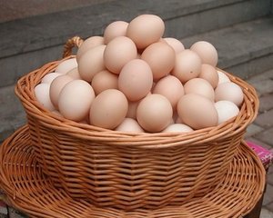 哪種蛋類的營養價值更高