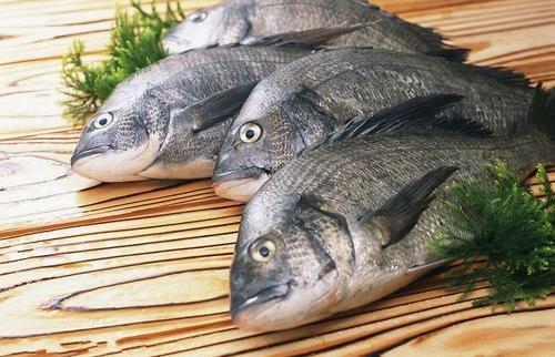 魚的哪些部位比較有營養？洗魚有什麼技巧？