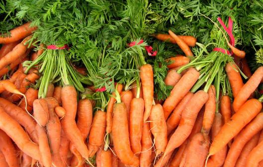 吃胡蘿卜有什麼好處？有利健康長壽