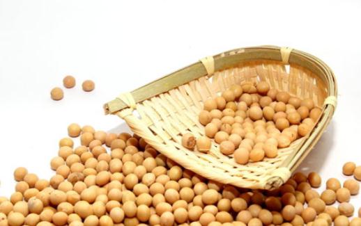 吃黃豆有什麼好處？黃豆的蛋白質極高