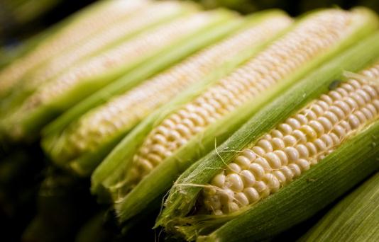 玉米吃多了會胖嗎？玉米的功效
