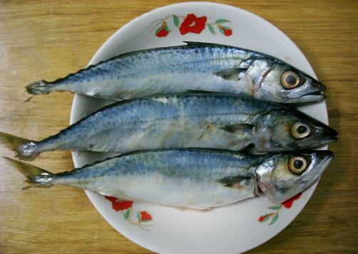 食用青占魚的注意事項-青占魚的營養價值