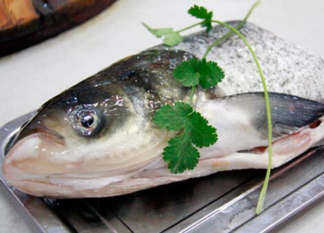食用青根魚的注意事項-青根魚的營養價值