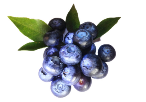 藍莓的營養價值-藍莓怎麼吃？