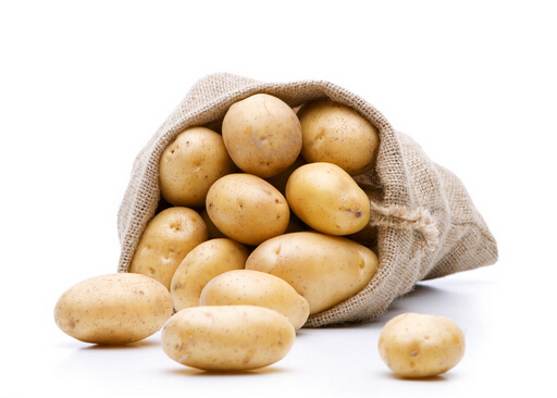 馬鈴薯的營養價值-馬鈴薯的種植技術