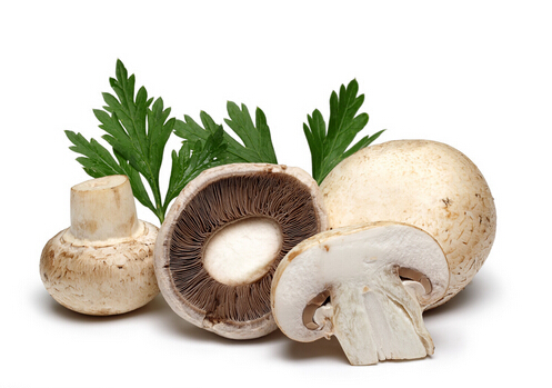 香菇的營養價值與功效-花菇和香菇的區別