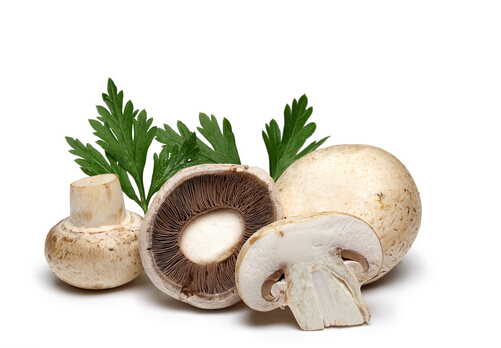 蘑菇的功效與作用-蘑菇的適用人群