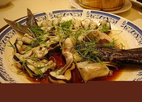 鴨嘴魚是什麼？鴨嘴魚的營養價值