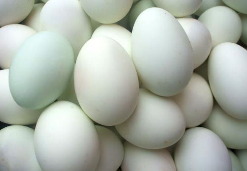鴨蛋的營養價值-鴨蛋的功效與作用