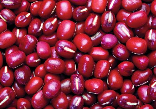 赤小豆和紅豆有什麼區別？赤小豆和紅豆的功效與作用