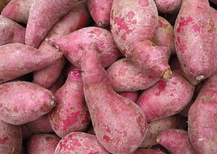 紫薯的營養價值-紫薯的功效與作用