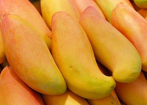 芒果的營養價值、功效與作用、食用禁忌