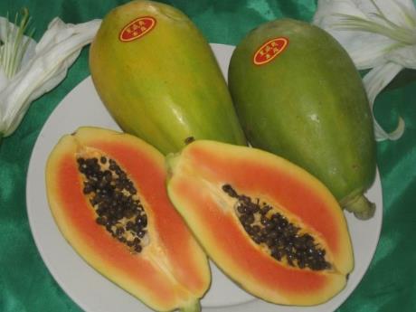 木瓜的營養價值、功效與作用、食用禁忌