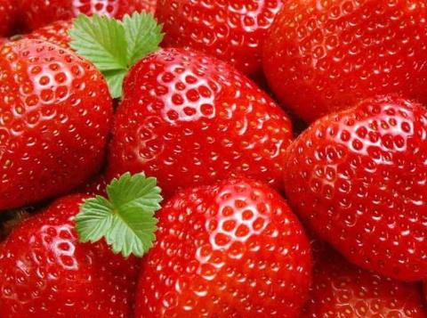 草莓的營養價值、功效與作用、食用禁忌
