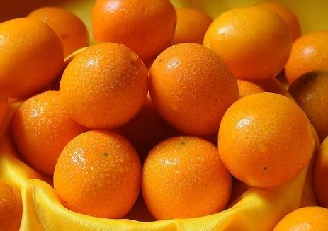吃金橘有什麼好處？金桔的功效與作用