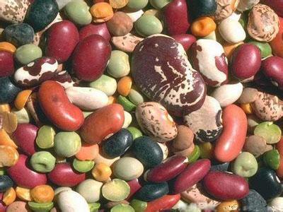 常吃豆類食品有什麼好處？各種豆類的營養價值功效