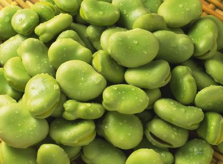 常吃蠶豆有什麼好處？蠶豆的營養價值、功效與作用