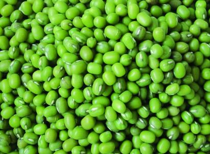 吃綠豆有什麼好處？如何煮綠豆？綠豆的功效與作用
