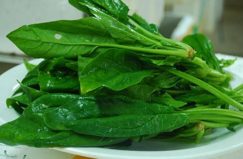 春季吃菠菜的好處-菠菜怎麼吃最有營養