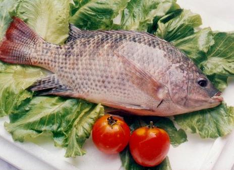 吃魚肉的營養價值高：吃帶魚可保持皮膚濕潤彈性