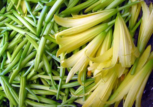 黃花菜的營養價值-黃花菜的功效與作用