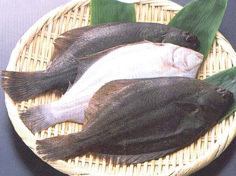 鴉片魚的營養價值-鴉片魚的食療作用