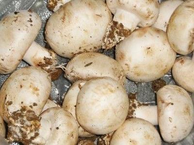 口蘑的營養價值-口蘑怎麼吃更好