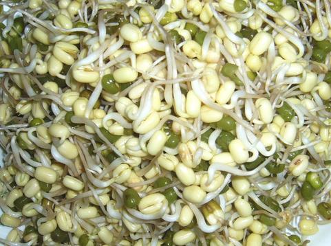 吃綠豆芽有什麼好處？綠豆芽的營養價值，綠豆芽的功效與作用