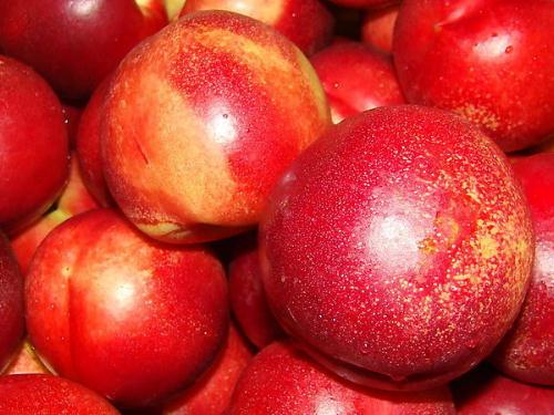 油桃的營養價值-油桃的功效與作用