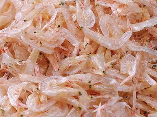吃蝦皮的好處-蝦皮的營養價值