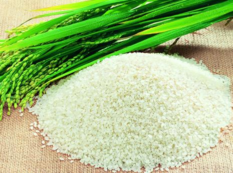 大米的營養價值-大米的功效與作用
