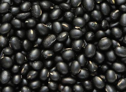 黑豆的功效與作用-黑豆的營養價值
