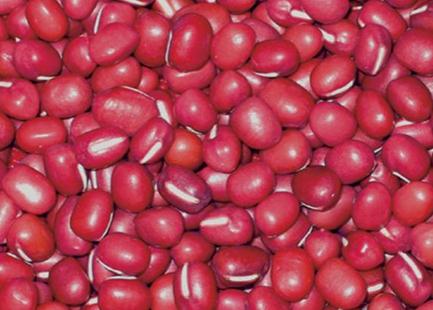 紅小豆的營養價值-紅小豆的功效與作用