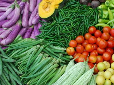 蔬菜主要向人們提供什麼營養