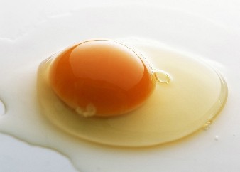 雞蛋有哪些營養成分？雞蛋的營養成分分析