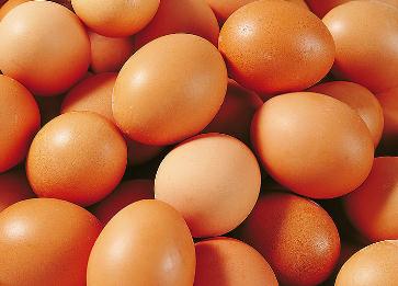 雞蛋的營養價值及營養成分包括哪些
