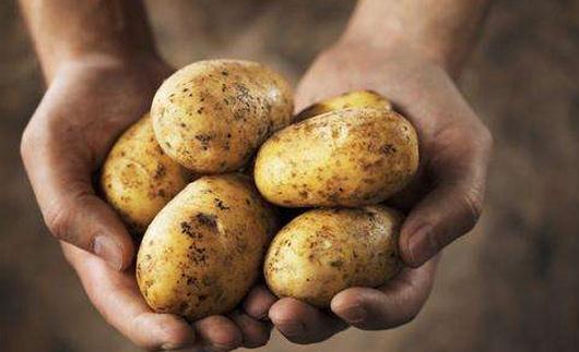 土豆能減肥嗎？這樣吃土豆最易長胖！